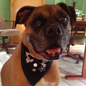 Meet your Posher, John